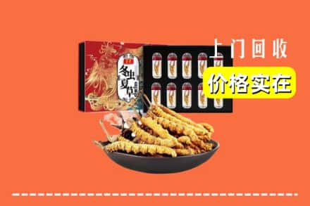 重庆巴南区回收冬虫夏草